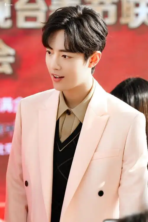 2020北京台春晚肖战