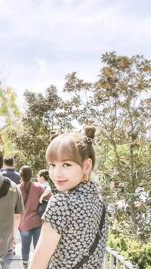 lisa壁纸竖屏可爱 lisa壁纸 竖屏-图片大观-奇异网