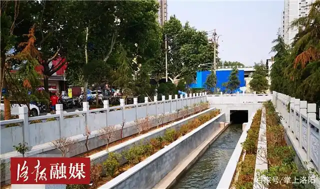 洛阳这条小水渠变身"景观渠",从早到晚游人不断