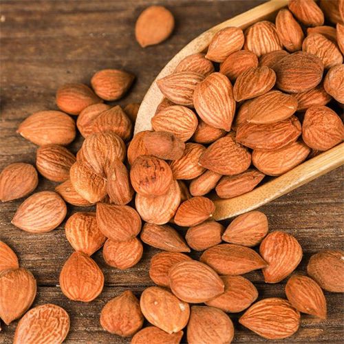 北京同仁堂 桃仁 中药材精选去壳带皮桃仁药用山桃仁 生桃仁 桃仁粉