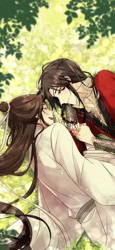 天官赐福高清壁纸 | 你们的花怜回来啦~_侵权