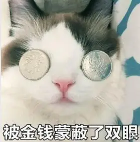 猫咪喵星人金钱蒙蔽双眼斗图搞笑硬币gif动图_动态图_表情包下载_soo