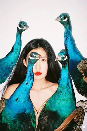 任航我根本不知道私摄影是什么