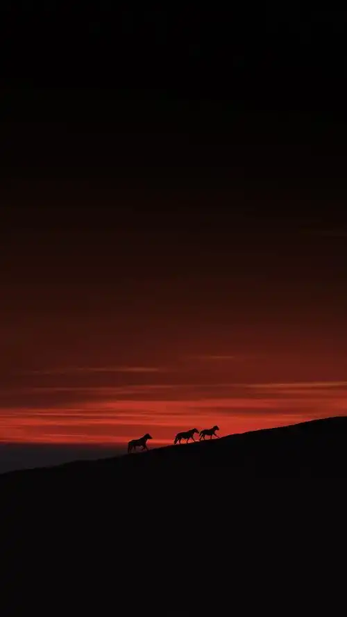 个性创意唯美高清手机壁纸