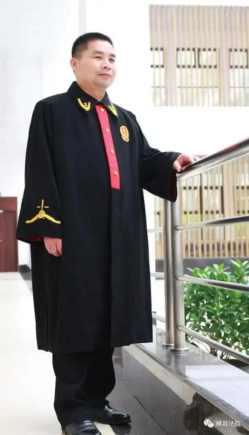 刀尖舞者扫黑除恶扬正气记横县法院刑庭李英杰法官