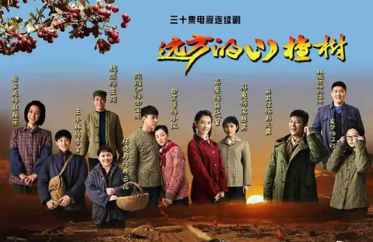 远方的山楂树即将在央视频道播出一部很有年代感的剧