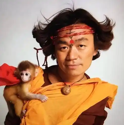 该片由徐克执导,王宝强饰演一个搞笑可爱的小混混.