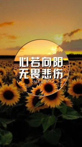 心若向阳,无畏悲伤