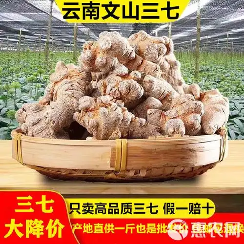 云南文山三七田七滑头戴帽产地直销足干足头打超细粉价格50元/斤