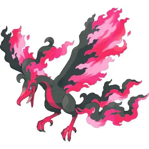 三圣鸟(伽勒尔的样子)