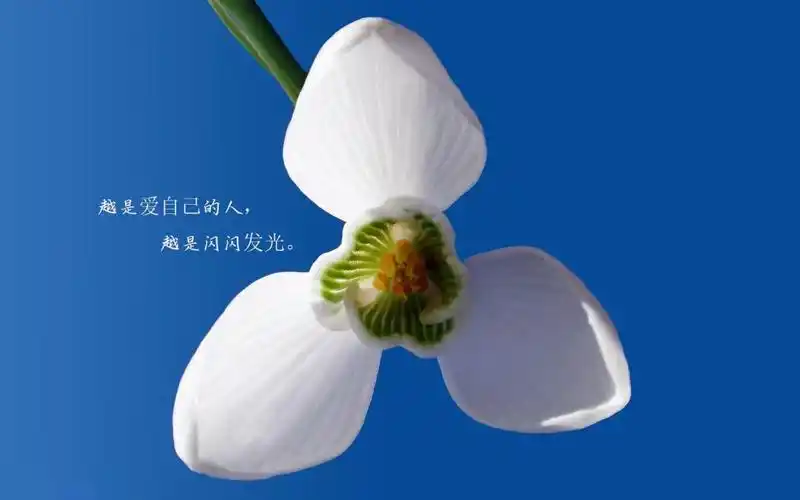 新的一天开始精美语句