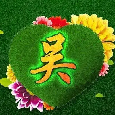 积善的美篇【吴氏微信头像】 写美篇吴氏族徽,形似梅花,象征吴氏受姓