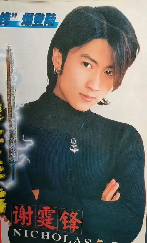 青春岁月偶像~谢霆锋年轻图片集