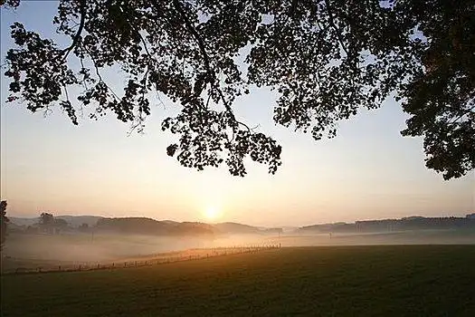 上午图片_上午图片大全_上午图片素材