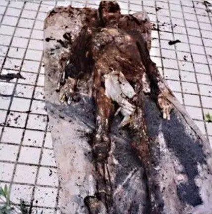 1995成都僵尸事件图片连续咬伤多人后被用火烧死网络传说