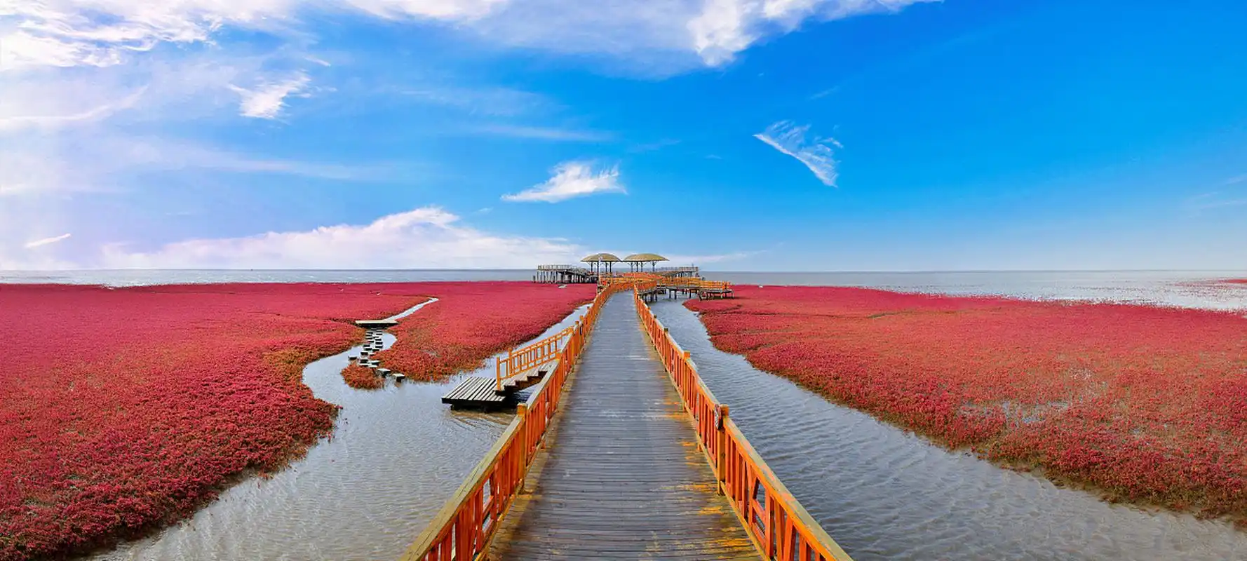 山东东营拥有壮观的自然景观和丰富的人文历史,推荐黄河口生态旅游区