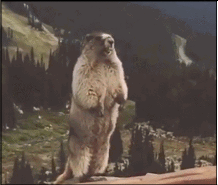 爱他们[心] [心] [心]