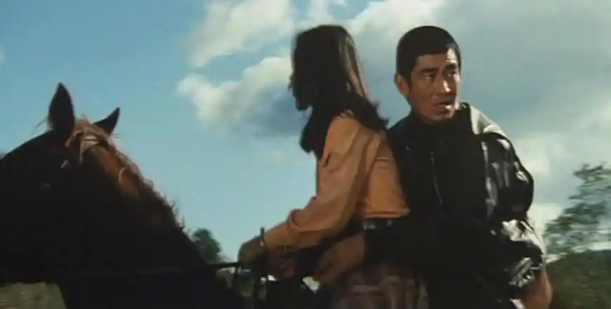 《追捕》上海电影译制厂1978年译制片