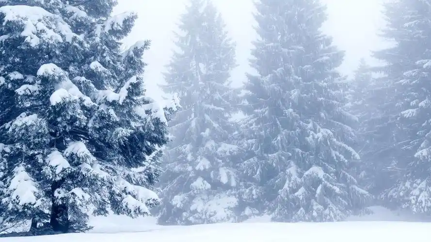 冬天的景色高清电脑壁纸_2021最新唯美风景图片壁纸_三千图片网