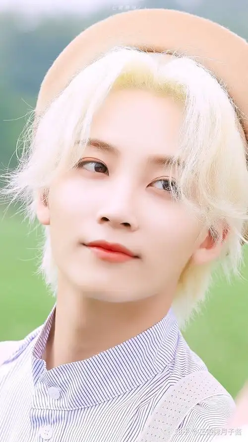 有没有seventeen各个成员的神图