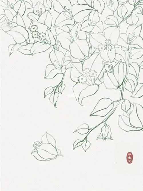 白雪公主三角梅附线稿