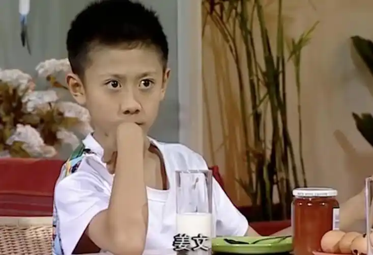 那些年我们没看懂的家有儿女