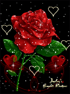 【高清图】【手机壁纸分享】小清新浪漫动态图-中关村在线摄影论坛