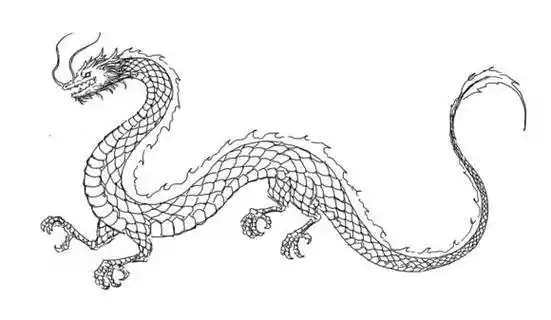 中国龙的简笔画法红色简笔画龙抬头龙中国龙简笔画图片简笔画,龙的简