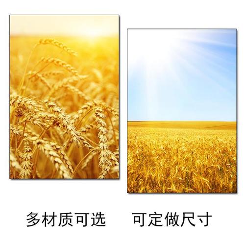 金色麦田风景画麦穗麦子自粘画玄关挂画田园风光海报贴墙壁画