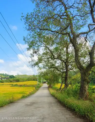 乡村自然风光摄影