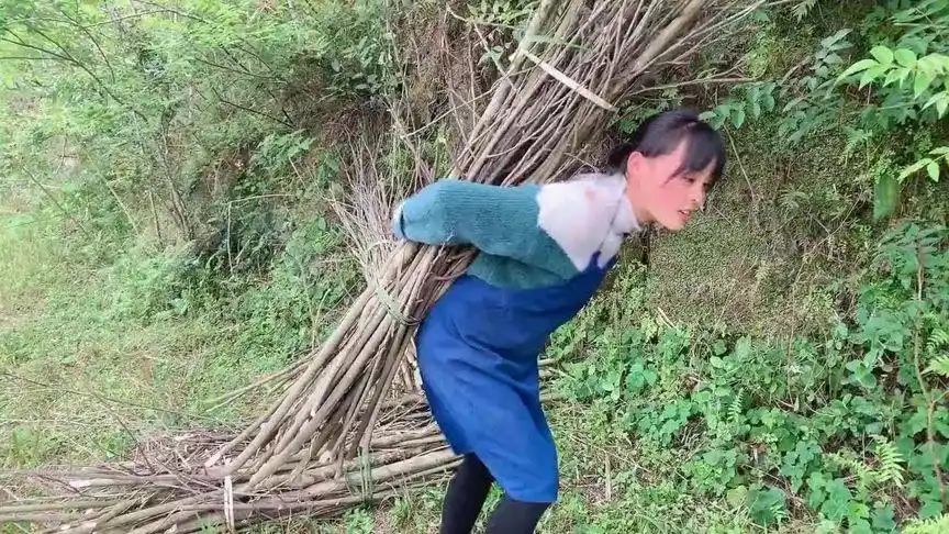 农村的悠闲生活