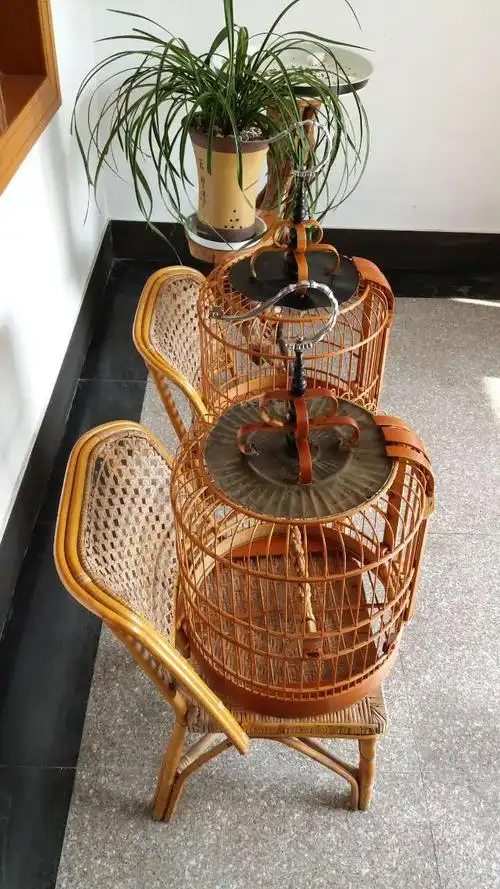 出售鸟笼|『 二手市场 』 - 慈溪论坛