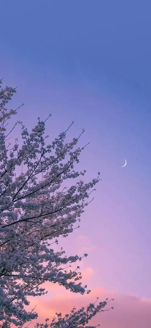 唯美晚霞摄影高清手机壁纸