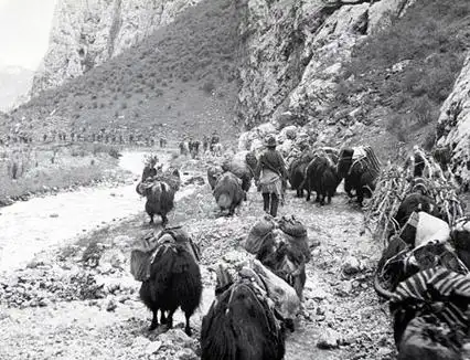 中印战争故事:中国士兵打到印度的大平原时惊呆