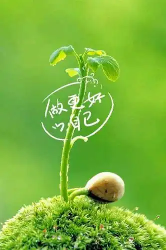 霸气绿色背景图