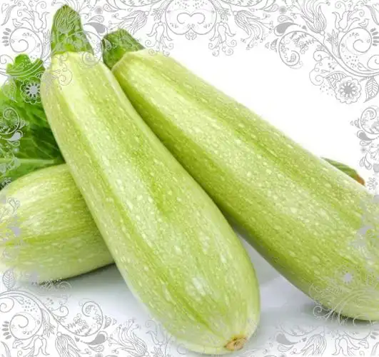 西葫芦  1.88元/500g