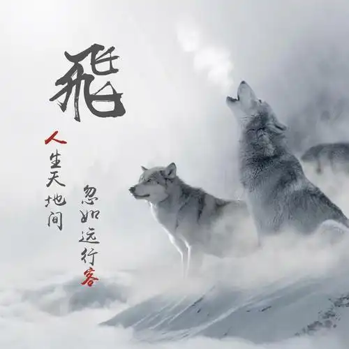 超好看霸气的狼图微信姓氏头像喜欢赶紧领走吧