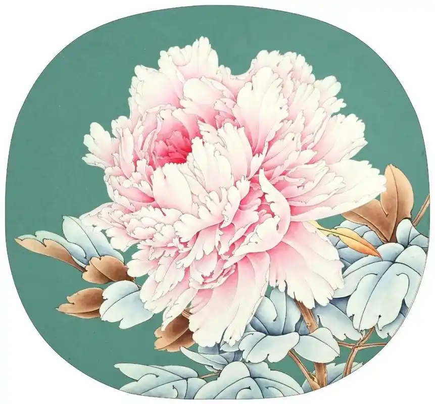 工笔画步骤分享牡丹团扇《赵粉》 1,花头淡墨勾勒,正叶及枝梗部分则