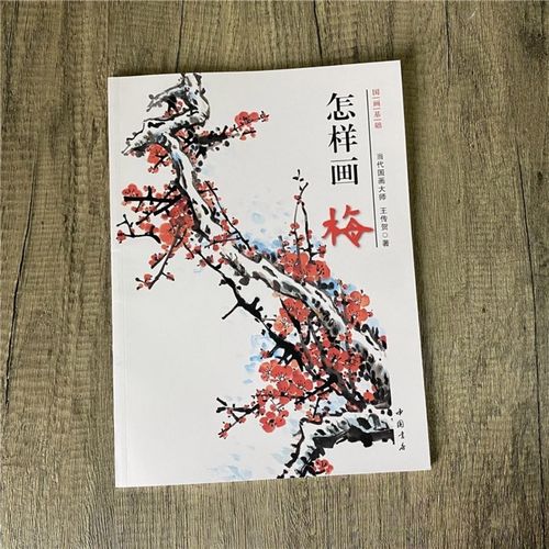 怎样画梅 国画基础入门绘画技法作品集红梅墨梅画梅花教程国画