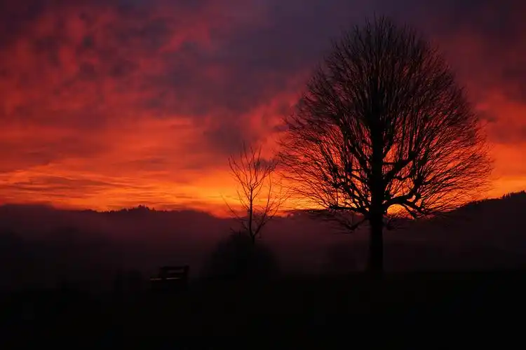 日落, 黎明, 背光, 太阳, 天空, 大气, 日出, 夜晚
