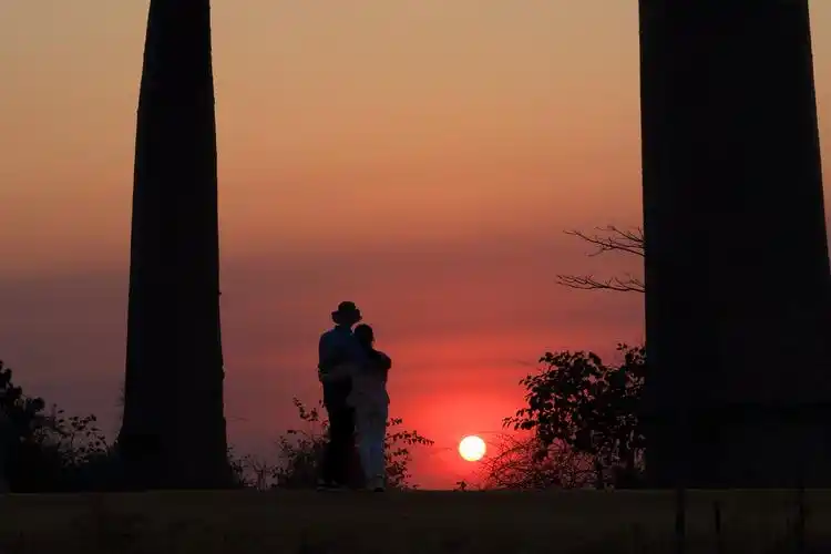 夕阳下,一对情侣在面包树下相互拥着,静静的享受着此刻的美好时光.