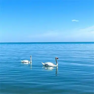 女人招财转运微信头像2022 带来好运头像图片大全_微信头像-酷玩个性