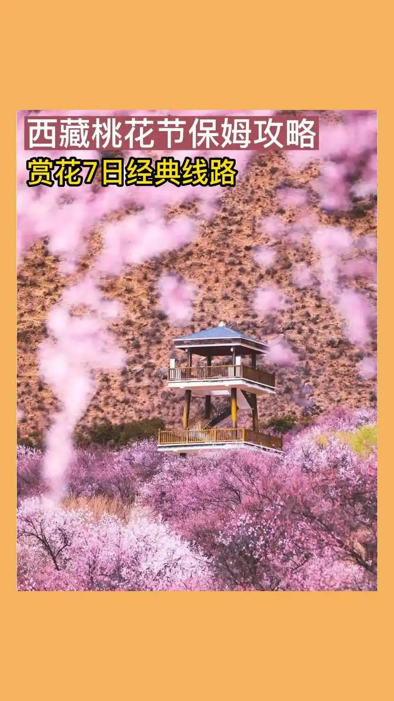 去西藏看桃花.西藏的春天是从林芝开始的,3,4月份,入雪域江 - 抖音