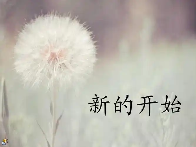 新的开始 新的一年