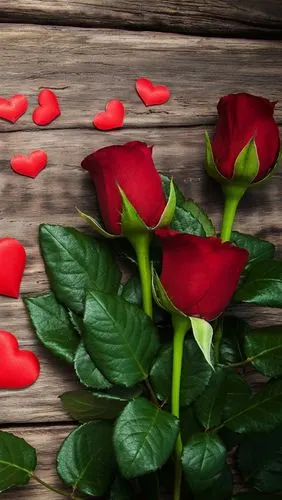 红玫瑰,爱的心,木板背景