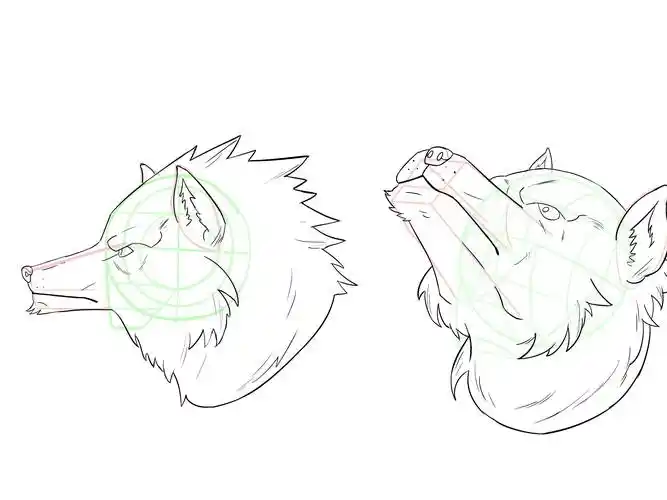 furry兽人怎么画教你绘制狼人兽设的画法教程