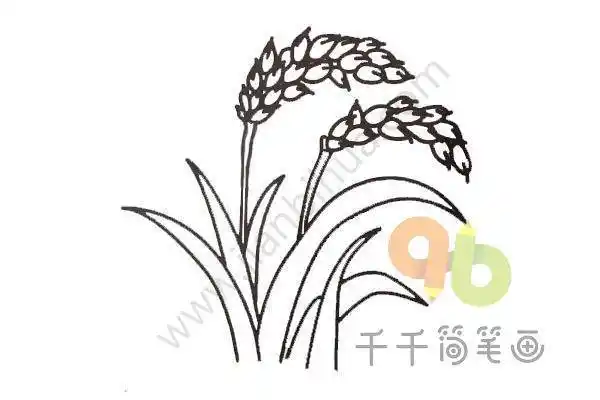稻田简笔画 稻田简笔画彩色