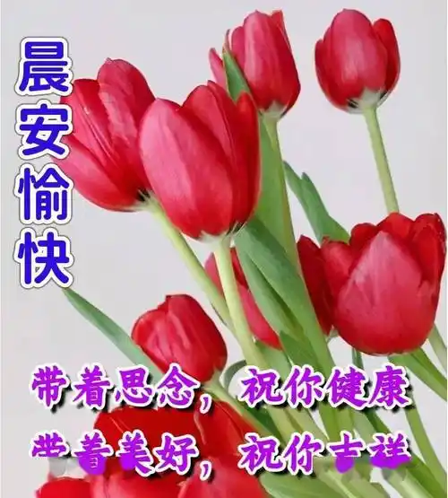 温馨的早安祝福语温馨清晨早安快乐祝福晨语精选_问候_伴侣_工夫