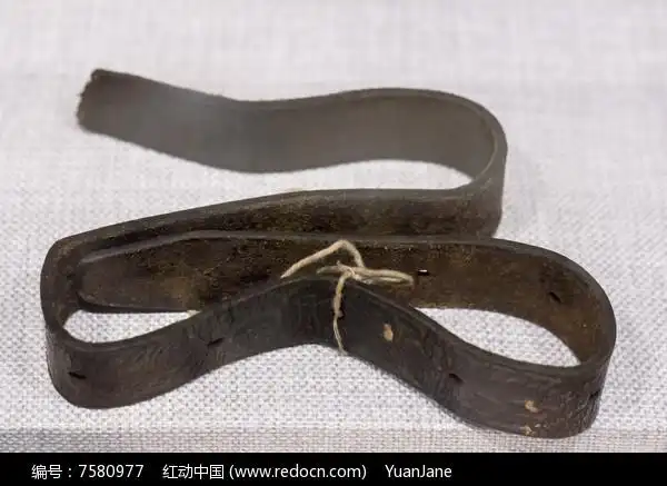 过草地吃剩下的半截皮带