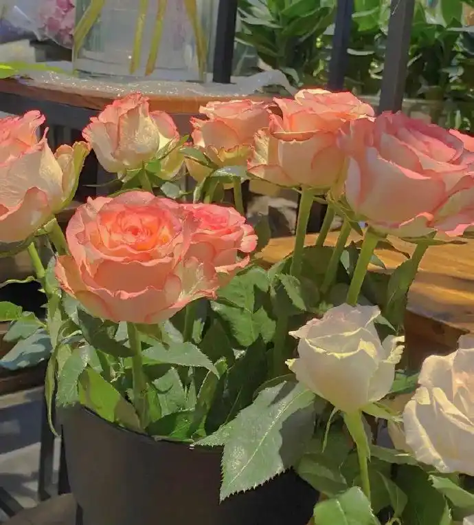 微信朋友圈背景图,fengmiantu